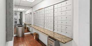 3211 W SWANN AVENUE Gallery 25
