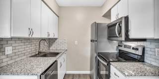 605 W Hutchison Gallery 10