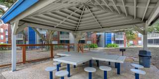 Sawgrass Gallery 5
