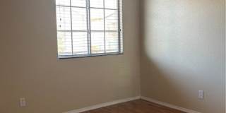 9911 Wingate Creek Court Gallery 20