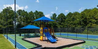 The Falls and Woods of Hoover Gallery 19