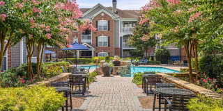 Verdant Peachtree Creek Gallery 3