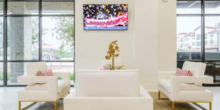 Reveal Lake Ridge Gallery 2