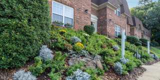 Willow Oaks Gallery 42