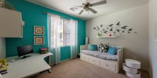 Liv Northgate Gallery 6