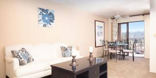 Prado Gallery 45