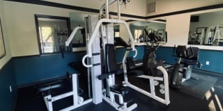 Pine Winds Gallery 4