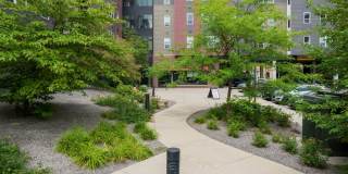 Cloud on Fifth Gallery 156