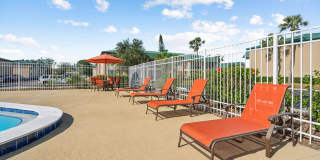 Buena Vista Gallery 87