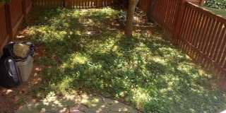 1302 ROMAN RIDGE Way Gallery 19