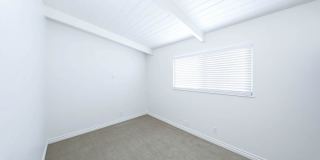 Olive 108 Gallery 8