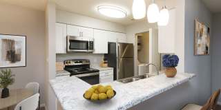 Palmetto Place Gallery 21