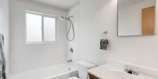 Twin Maples Gallery 20