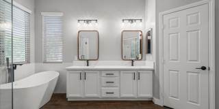 Completely Renovated Modern 4 Bd Single Story in the Trails Gallery 21