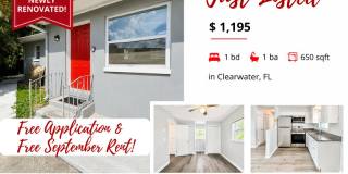 1265 Pierce Street - 1 Gallery 1