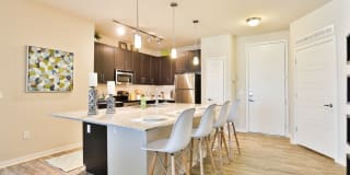 Olympus Steelyard Gallery 22