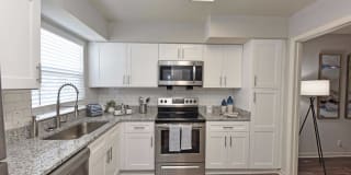 The Nelson The Nelson Gallery 1