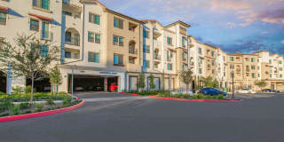 Vineyards Gallery 32