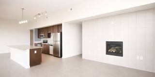 The Elysian Gallery 456