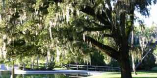 Longwood (The Springs) - 2 Bedroom, 1 Bathroom - $1,795.00 Gallery 29
