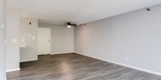 White Pines Gallery 18