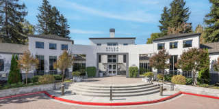 Bella Vista Gallery 14