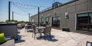 The Grove Gallery 53