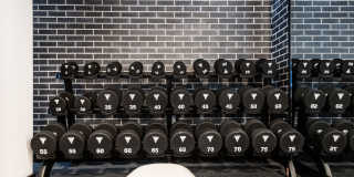 Aster & Links Gallery 36