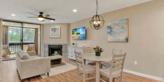 3098 Rue Dorleans Gallery 3