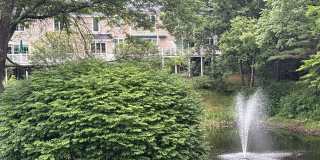Beautiful Spacious High End 3-bedroom Condo Beautiful Spacious High End 3-bedroom Condo Gallery 30