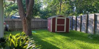 Charming South Austin Classic Gallery 18