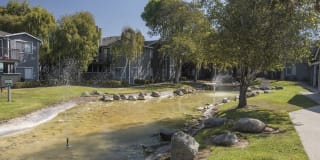 Cypress Creek Gallery 40