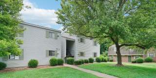 Rosen at North Hills Gallery 35