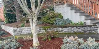 Beautiful 4 bedroom plus office home in Ballard Gallery 39