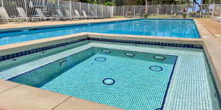 Beach Style 2 bed/2bath Luxury Condo - Finely Furnished - Steps from the Beach - Resort Amenities - Gallery 37
