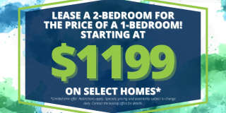 Preston Lakes Gallery 2