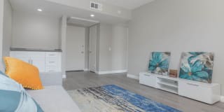 THE MODERN CACTUS Gallery 6