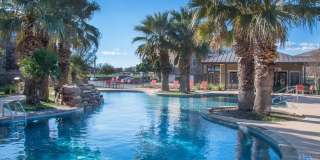 Palmera on 3009 Gallery 1