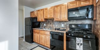 Mannasota Manor Gallery 2