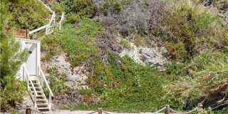 32061 Coast Highway Gallery 37