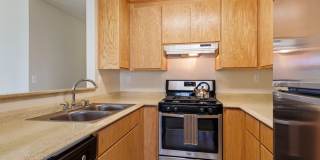 Sycamore Village Gallery 1