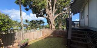 Haiku 2 bedroom with fenced yard Gallery 1