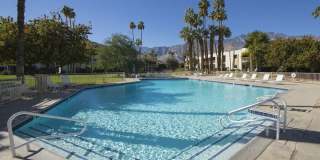 501 Desert Lakes Cir Gallery 15