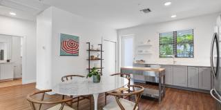Odyssey Gallery 7