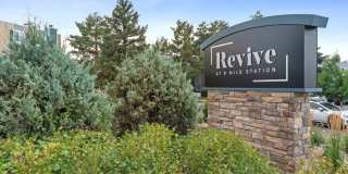 Revive at 9 Mile Station Gallery 24