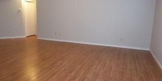 255 LEATHERLEAF Drive Gallery 3