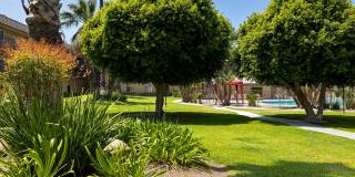 Coronado Palms Gallery 2