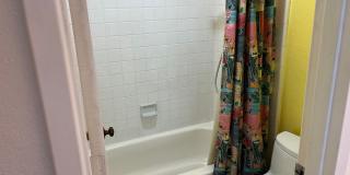 Shelter Creek Condo 1/1 available now Gallery 7