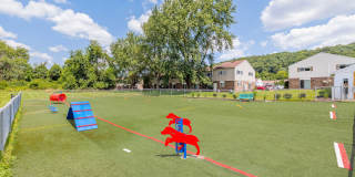 Emerald Gardens Gallery 25