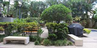 Honolulu Tower - 2 Bdrm/2 Bath/1 Prkg (Chinatown) - $3,100 Gallery 6